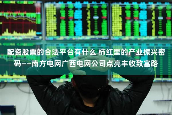配资股票的合法平台有什么 柿红里的产业振兴密码——南方电网广西电网公司点亮丰收致富路