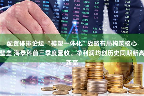 配资排排论坛 “模塑一体化”战略布局构筑核心壁垒 海泰科前三季度营收、净利润均创历史同期新高