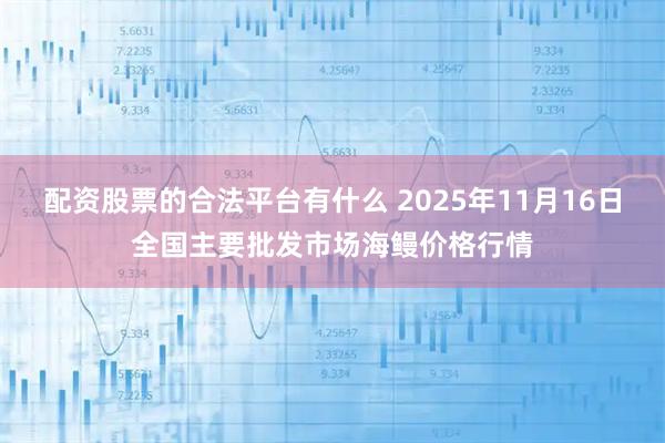 配资股票的合法平台有什么 2025年11月16日全国主要批发市场海鳗价格行情