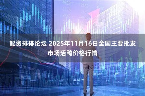 配资排排论坛 2025年11月16日全国主要批发市场活鸭价格行情