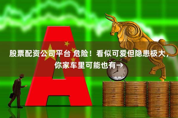 股票配资公司平台 危险！看似可爱但隐患极大，你家车里可能也有→