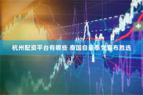 杭州配资平台有哪些 泰国自豪泰党宣布胜选