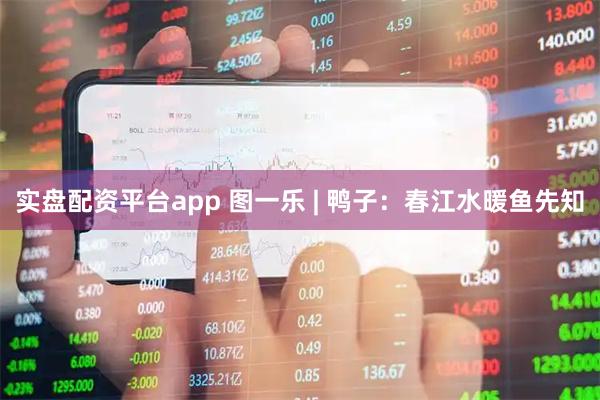 实盘配资平台app 图一乐 | 鸭子：春江水暖鱼先知